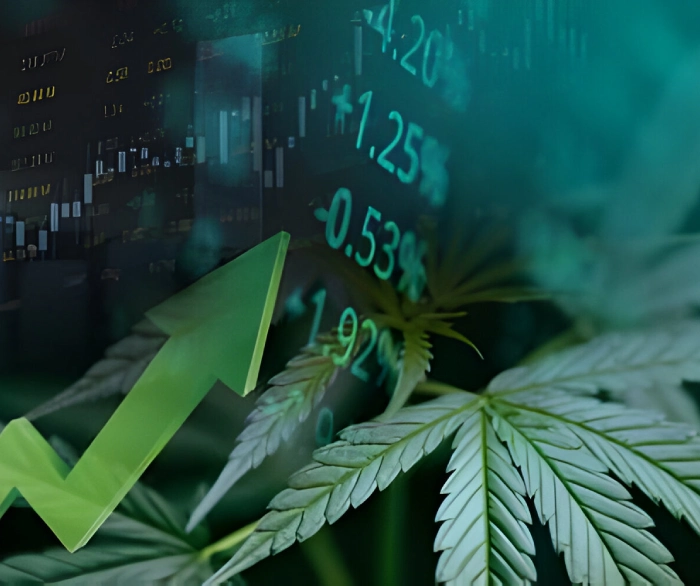 Merchant Account for My CBD Business